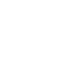 md icon pro